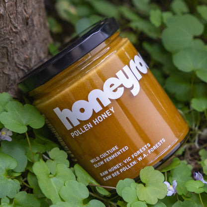 Pollen Honey